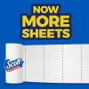 imageScott Paper Towels ChooseASheet 30 Double Rolls 2 Packs of 15  60 Regular Rolls 100 Sheets Per Roll100 Count Pack of 6