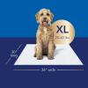 imageScott Pet Guard Advanced Dog Pads  Dog Training Pee Pads for Puppies Medium ampamp Large Dogs  Up to 16 Hour Absorbency with Odor Control  Softest Quilted Dog Pee Pads  Large  22quot x 22quot  100 PackXLarge 40 Pack